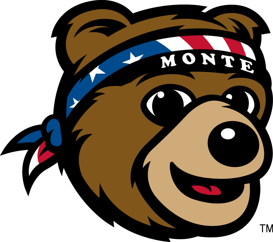 Montana Grizzlies 2010-Pres Mascot Logo diy iron on heat transfer